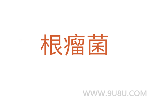 根瘤菌
