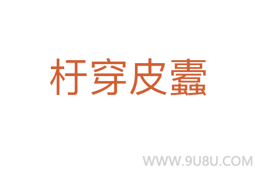 杅穿皮蠹