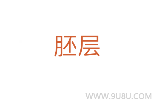 胚層