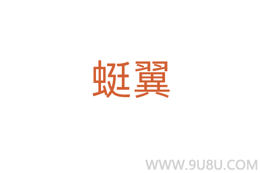 蜓翼