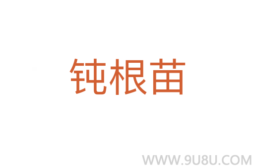 鈍根苗