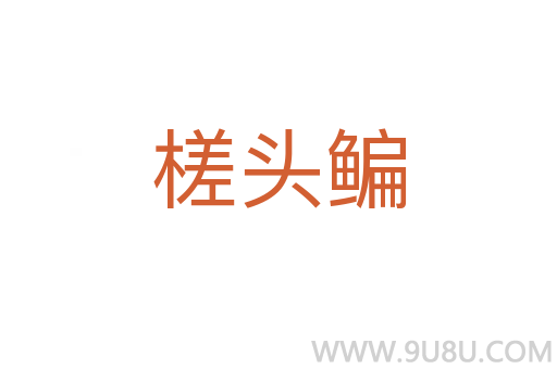槎頭鳊