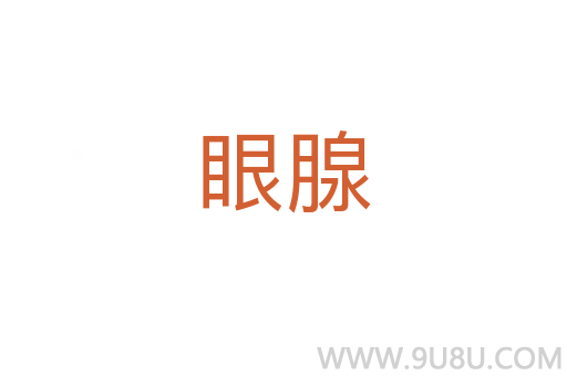 眼腺