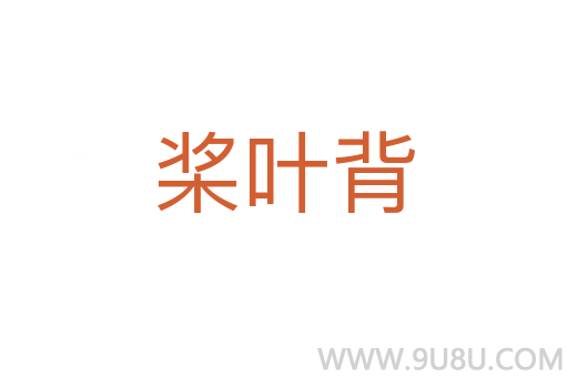 槳葉背