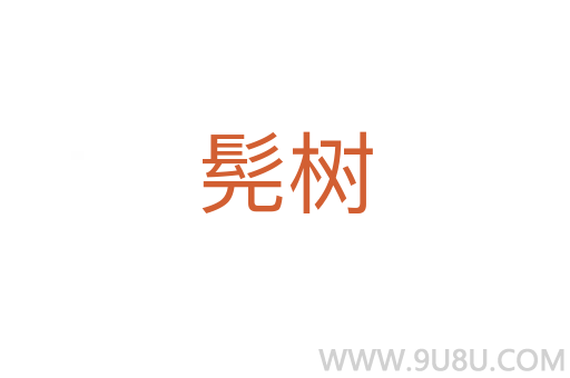 髡樹