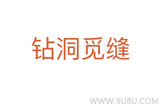 鉆洞覓縫