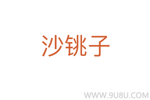 沙銚子