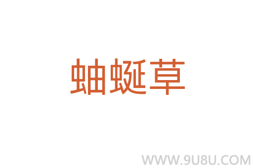 蚰蜒草