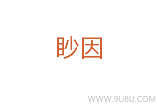 眇因
