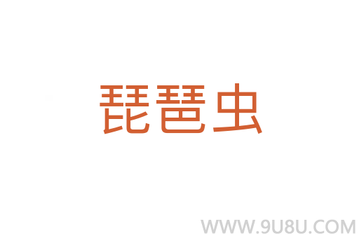 琵琶蟲