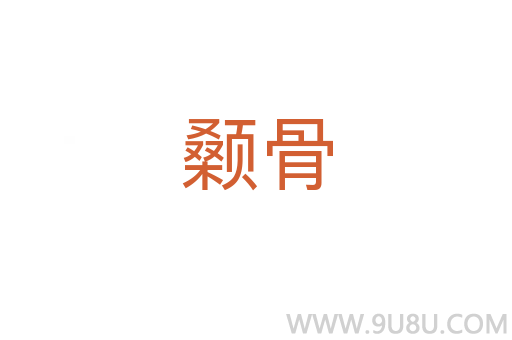 顙骨