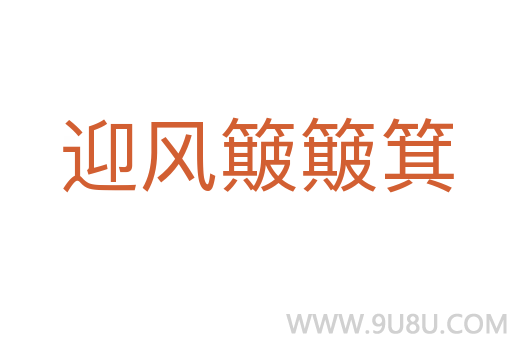 迎風簸簸箕