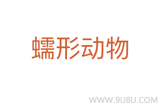 蠕形動物