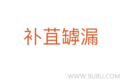 補苴罅漏