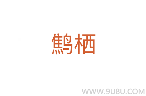 鷦棲