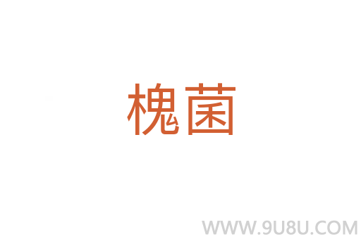 槐菌