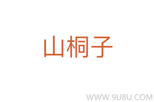 山桐子