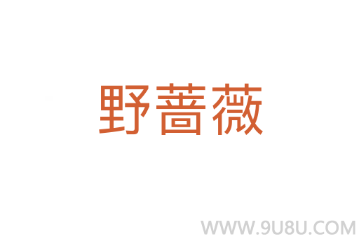 野薔薇