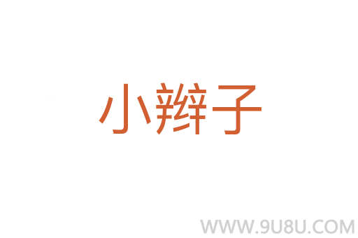 小辮子