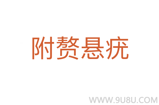 附贅懸疣