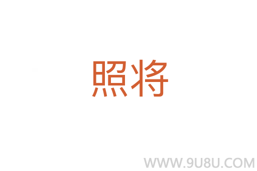 照將