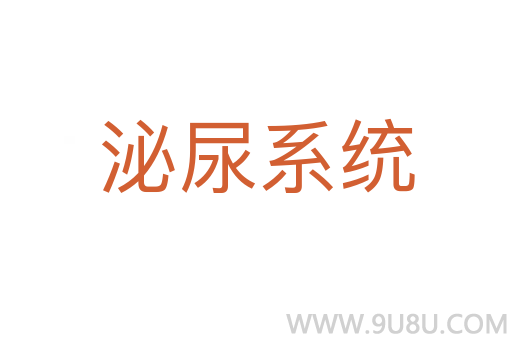 泌尿系統