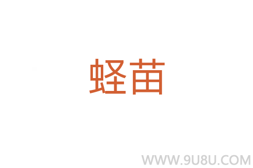 蟶苗