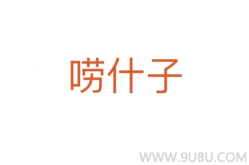 嘮什子