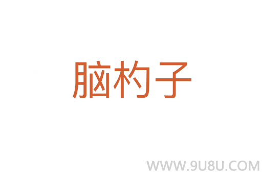 腦杓子