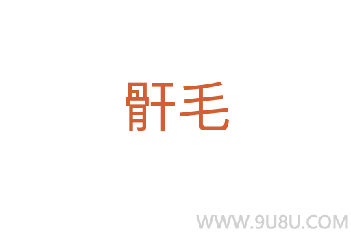 骭毛