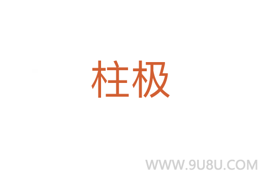 柱極