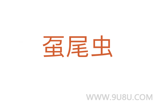 蠆尾蟲