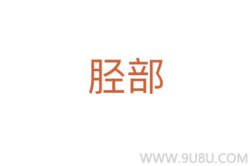 脛部