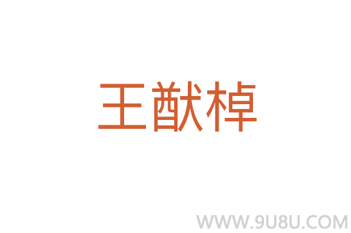 王猷棹