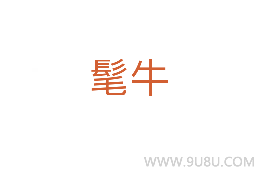 髦牛