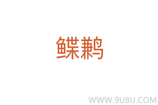 鰈鶼
