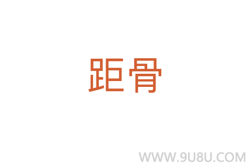 距骨