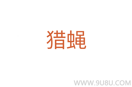 獵蠅