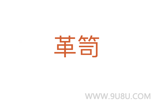 革笥