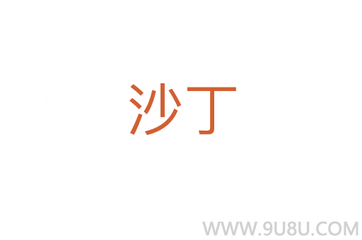 沙丁
