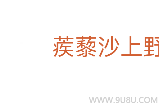 蒺藜沙上野花開