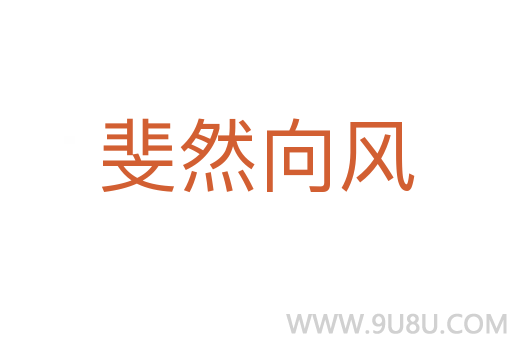 斐然向風(fēng)