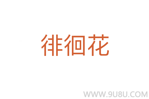 徘徊花