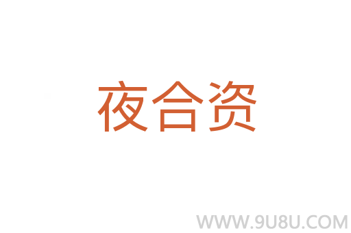 夜合資