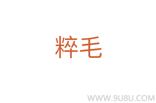 粹毛