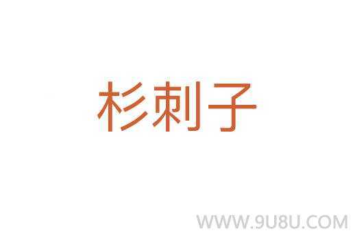 杉刺子