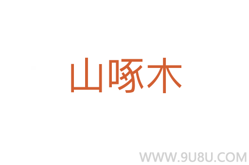 山啄木