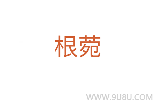 根菀