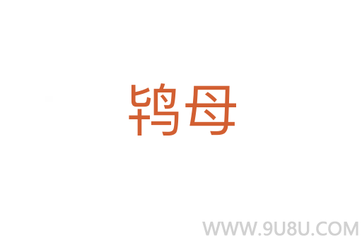 鴇母