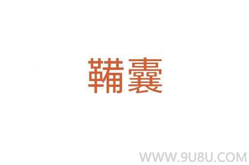 鞴囊